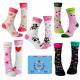 Chaussettes Club des Dames Wantee 5-pack boîte ca... Chaussettes Club des Dames Wantee 5-pack boîte ca...