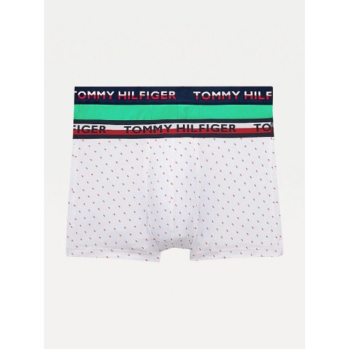 Boxers Homme Tommy Hilfiger Color Printed Blanc, Vert 2-Pack