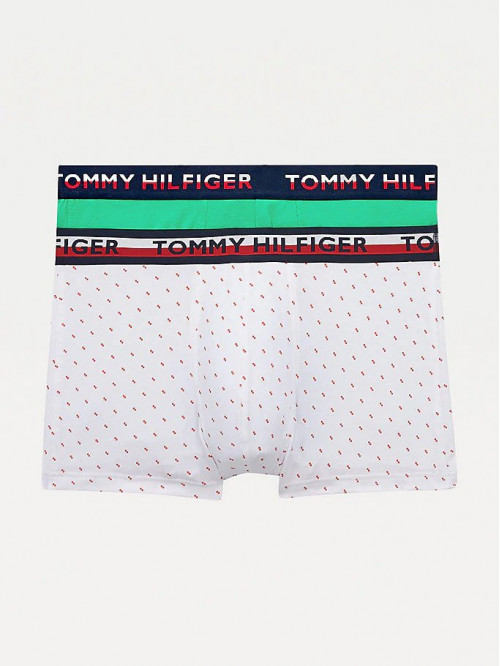 Boxers Homme Tommy Hilfiger Color Printed Blanc, Vert 2-Pack