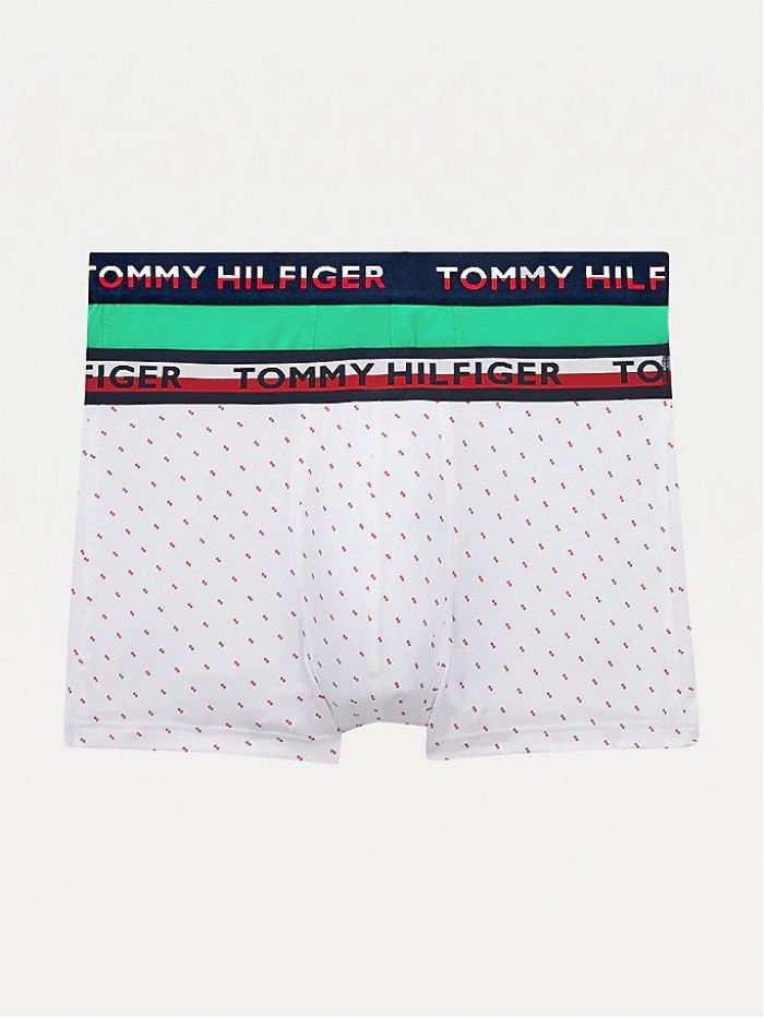 Boxers Homme Tommy Hilfiger Color Printed Blanc, Vert 2-Pack