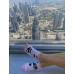 Chaussettes Basses Chatons Adorables Wantee Chaussettes Basses Chatons Adorables Wantee