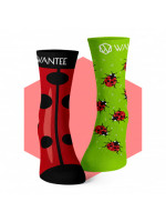 Chaussettes enfantines avec des coccinelles Wantee Chaussettes enfantines avec des coccinelles Wantee