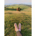 Chaussettes Avocat Wantee Chaussettes Avocat Wantee