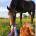 Chaussettes Chiens Joyeux Wantee Chaussettes Chiens Joyeux Wantee