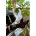 Chaussettes Basic Black and Blue Wantee 10-pack Chaussettes Basic Black and Blue Wantee 10-pack