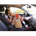 Chaussettes Hamburger et Frites Wantee Chaussettes Hamburger et Frites Wantee